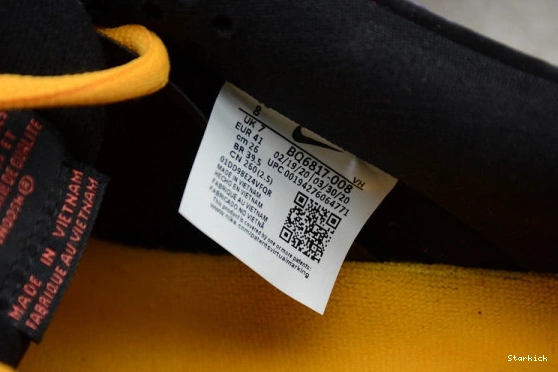 “ACG BQ6817-008 Dunk Low Nike Terra” SB 1212